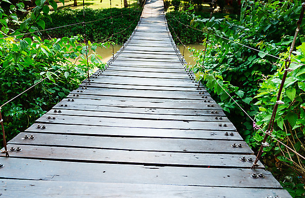 포토 JPG 해외이미지 식물 공원 길 여행 십자가 자연 안테나 매달리기 손바닥 사람없음 목재 초록색 물 강 노란색 개울 넘어짐 방법 선로 옛날 팬던트 해외202004 해외포토 자연요소 나무 손 공공시설 컬러 재료 통신 모션 생태계 파일형식 이미지허브