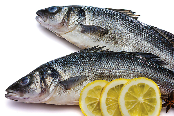 포토 JPG 해외이미지 동물 별 음식 바다 백그라운드 재료 자연 낚시 건강 어류 요리 사람없음 가로 머리 식사 저녁식사 흰색 신선 잡기 입 시장 은색 레몬 해산물 향신료 준비 꼬리 날것 지느러미 점심식사 고립 베이스 생식 해외202004 해외포토 자연요소 컬러 과일 모션 현악기 레저 신체부위 수중동물 생태계 향미료 파일형식 이미지허브