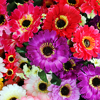 포토 JPG 해외이미지 식물 공원 꽃잎 꽃 꽃다발 백그라운드 잎 꽃무늬 밭 농업 자연 새로움 사람없음 야외 장식 초록색 컬러풀 화장 정원 성장 벚꽃 나뭇가지 신선 화려 개화 허브 내추럴 인공 해외202004 해외포토 나무 공공시설 산업 컬러 컨셉 무늬 뷰티 생태계 파일형식 이미지허브