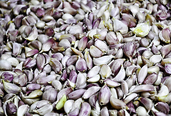 포토 JPG 해외이미지 음식 백그라운드 채소 재료 자연 마늘 요리 사람없음 가로 갈색 주방 흰색 양념 조미료 맛 허브 향신료 오브젝트 매움 심플 아로마 향료 깨짐 짠맛 채식주의자 억울 해외202004 해외포토 식물 감정 컬러 컨셉 생태계 채식 향기 냄새 향미료 파일형식 이미지허브