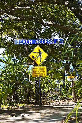 포토 JPG 해외이미지 나무 식물 모래 잎 자연 하늘 휴가 산 풍경 사람없음 야외 초록색 물 파란색 강 세계 햇빛 태양 평화 골짜기 맑음 침묵 트래킹 하이킹 바위 개울 재산 호주 숲 열대우림 순수 내추럴 해외202004 해외포토 자연요소 컬러 컨셉 레저 날씨 금융 소리 돌_바위 오세아니아 생태계 파일형식 이미지허브