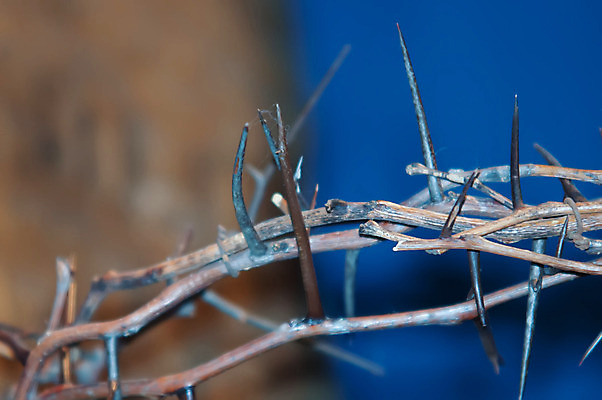 포토 JPG 해외이미지 기독교 종교 십자가 왕관 부활절 사람없음 목재 믿음 성경 희망 죽음 예수 가시 신성 희생 복음 신앙심 해외202004 해외포토 나무 기념일 감정 재료 종교용품 신_종교 파일형식 이미지허브