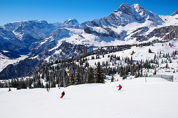 포토 JPG 해외이미지 나무 구름 라이프스타일 유럽 지구 여행 겨울 자연 하늘 스키 산 그림자 풍경 사람없음 야외 파란색 태양 평화 맑음 얼음 추위 흰색 황무지 고급 숲 크리스탈 가루 스위스 서리 알프스 썰매 썰매타기 절정 파라다이스 눈내림 해외202004 해외포토 자연요소 식물 계절 나라 컬러 컨셉 날씨 겨울스포츠 눈_날씨 생활 전통놀이 광석 생태계 파일형식 이미지허브
