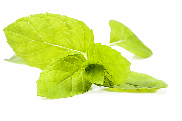 포토 JPG 해외이미지 식물 음식 잎 재료 자연 건강 사람없음 초록색 흰색 신선 맛 민트 허브 향신료 상쾌 유기농 날것 냄새 아로마 향 내추럴 고립 해외202004 해외포토 웰빙 감정 컬러 컨셉 생태계 향미료 파일형식 이미지허브