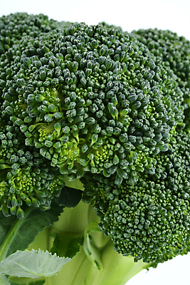 포토 JPG 해외이미지 음식 줄기 잎 다이어트 채소 건강 요리 사람없음 초록색 컬러풀 요식업 저녁식사 흰색 신선 최고 고명 몸무게 브로콜리 날씬함 유기농 날것 칼로리 섬유 성분 내추럴 점심식사 고립 식욕 적자 해외202004 해외포토 식물 웰빙 산업 컬러 식사 직물 몸매 파일형식 이미지허브