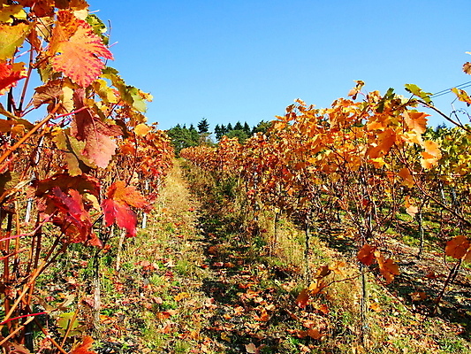 포토 JPG 해외이미지 사람없음 해외202004 해외포토 파일형식 이미지허브