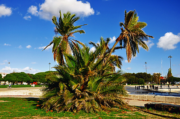 포토 JPG 해외이미지 나무 전통 외관 교육 유럽 문화 스포츠 밭 농업 자연 하늘 주택 풍경 잔디 사람없음 야외 건물 가로 초록색 물 여름 파란색 강 농장 탑 침묵 바위 시골 성 역사 포르투갈 심볼 조경 장면 코르크 상록수 올가미 옛날 해외202004 해외포토 자연요소 식물 건축물 계절 나라 산업 컬러 소리 돌_바위 생태계 파일형식 이미지허브
