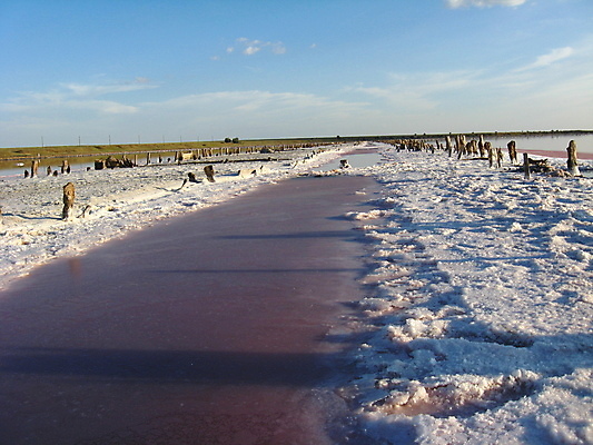 포토 JPG 해외이미지 계절 호수 음식 백그라운드 자연 표면 풍경 사람없음 물 여름 태양 반사 일몰 흰색 침대 제조 상품 매끈함 저녁 당구 질감 소금 먼지 남쪽 우크라이나 짠맛 추출 해외202004 해외포토 자연요소 유럽 컬러 가구 구기 노을 감각 맛 야간 방향 생태계 파일형식 이미지허브