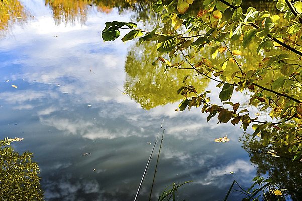 포토 JPG 해외이미지 나무 구름 계절 공원 호수 여행 백그라운드 잎 오렌지 자연 하늘 낚시 휴가 프레임 스웨덴 풍경 취미 사람없음 야외 물 여름 파란색 강 컬러풀 반사 노란색 평화 맑음 침묵 활발 가을 시골 연못 황무지 숲 11월 그림 장면 10월 생태학 해외202004 해외포토 자연요소 식물 공공시설 교육 컬러 컨셉 과일 레저 날씨 북유럽 소리 날짜 생태계 파일형식 이미지허브