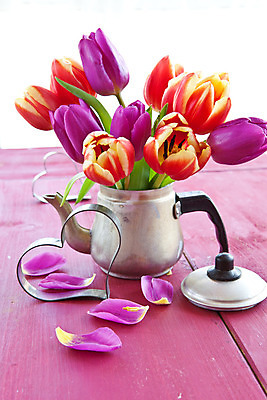 포토 JPG 해외이미지 꽃잎 꽃 분홍색 꽃다발 백그라운드 잎 꽃무늬 부활절 발렌타인데이 사랑 사람없음 목재 장식 빨간색 컬러풀 보라색 봄 튤립 수확 벚꽃 하트 시골 신선 생일 개화 캔 냄비 자주색 카피스페이스 해외202004 해외포토 모양 나무 식물 계절 기념일 감정 컬러 무늬 농업 재료 데이이벤트 공백 솥 파일형식 이미지허브