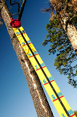 포토 JPG 해외이미지 공원 놀이 사람없음 힘 경쟁 종 게임 시골 우승 몸무게 망치 사인 노력 공평 게이지 스트라이크 승자 힘찬 해외202004 해외포토 공공시설 컨셉 공구 최고 파일형식 이미지허브