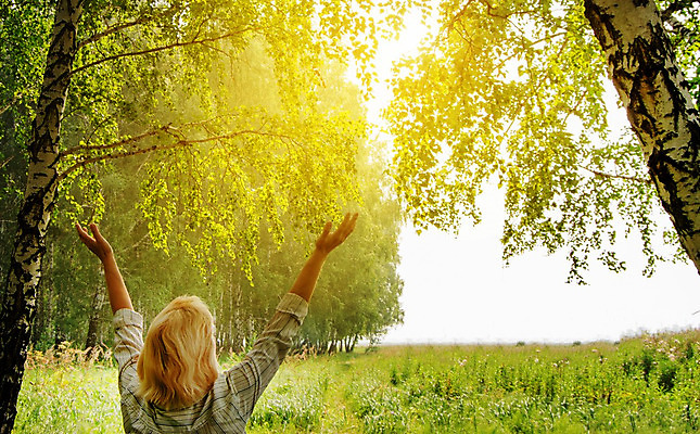 포토 JPG 해외이미지 나무 라이프스타일 공원 행복 여행 셔츠 농업 바지 자연 하늘 성공 건강 관리 서기 사람 사람없음 야외 초록색 여름 금발 태양 농장 여행객 계곡 트래킹 기쁨 하이킹 자유 보호 정상 숲 생태계 오르기 생태학 해외202004 해외포토 자연요소 식물 헤어스타일 계절 공공시설 교육 감정 산업 컬러 컨셉 상의 모션 하의 레저 생활 파일형식 이미지허브