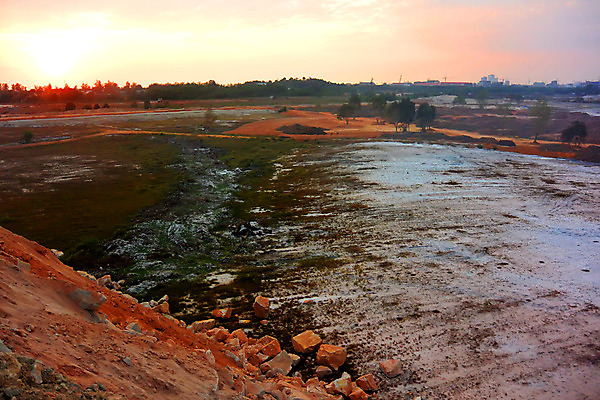 포토 JPG 해외이미지 나무 동물 아시아 돈 밭 농업 오렌지 아프리카 태국 동양인 풍경 사람없음 빨간색 글로벌 환경 중국 흙 재활용 손상 시골 변화 숲 부식 인도네시아 먼지 캄보디아 개발 밭일 생태학 파키스탄 해외202004 해외포토 식물 교육 나라 산업 컬러 컨셉 과일 인종 재산 친환경 파일형식 이미지허브