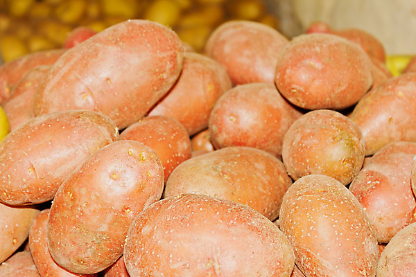 포토 JPG 해외이미지 식물 음식 백그라운드 농업 채소 자연 감자 건강 사람없음 갈색 신선 그룹 유기농 날것 뿌리 내추럴 채식주의자 해외202004 해외포토 웰빙 산업 컬러 생태계 채식 파일형식 이미지허브