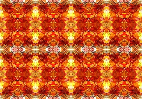 포토 JPG 해외이미지 백그라운드 잎 패턴 포장 자연 추상 사람없음 빨간색 노란색 덮개 가을 직물 원형 질감 대칭 해외202004 해외포토 도형 식물 계절 컬러 무늬 뚜껑 생태계 파일형식 이미지허브