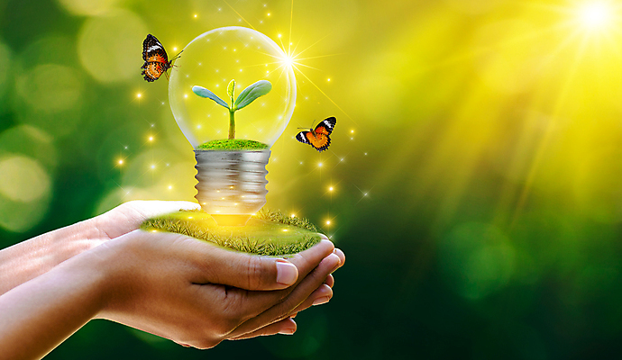 포토 JPG 해외이미지 나무 식물 손 산업 지구 백그라운드 컨셉 잎 전구 자연 미래 아이디어 사람 사람없음 초록색 빛 글로벌 햇빛 태양 환경 힘 재활용 행성 에너지 성장 흰색 램프 잡기 보호 심볼 에코 유지 내추럴 혁명 돌봄 발명 생태학 해외202004 해외포토 자연요소 교육 컬러 모션 조명 신체부위 우주 친환경 생태계 파일형식 이미지허브