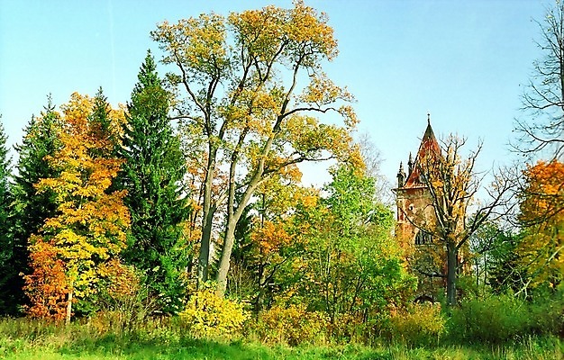 포토 JPG 해외이미지 나무 공원 벽 자연 지붕 풍경 사람없음 탑 맑음 가을 그림 옛날 해외202004 해외포토 식물 건축물 계절 공공시설 날씨 생태계 파일형식 이미지허브