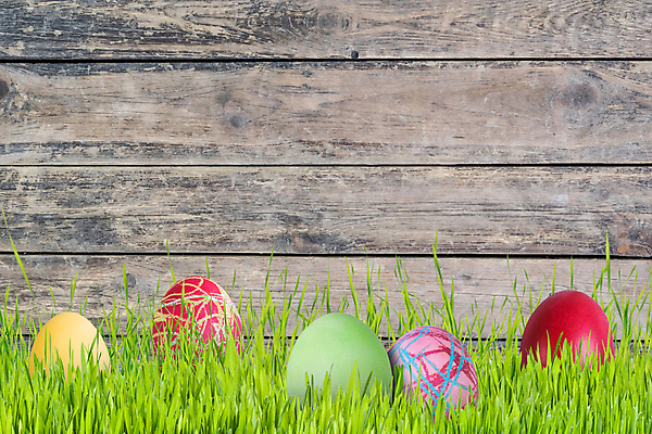 포토 JPG 해외이미지 전통 디자인 계절 꽃잎 꽃 음식 백그라운드 꽃무늬 벽지 휴가 기념 이벤트 사람없음 목재 장식 초록색 빛 페인트 봄 수확 흰색 시골 신용카드 4월 심볼 질감 부활절계란 해외202004 해외포토 나무 식물 컬러 무늬 농업 재료 부활절 금융 계란 날짜 파일형식 이미지허브