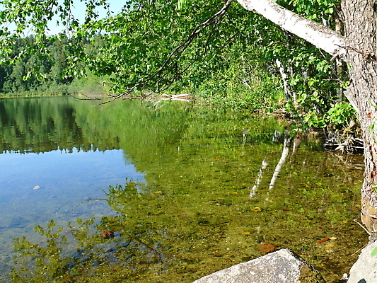 포토 JPG 해외이미지 나무 식물 구름 계절 공원 호수 여행 잎 자연 하늘 산 풍경 사람없음 야외 목재 초록색 물 여름 파란색 햇빛 태양 반사 평화 침묵 봄 시골 연못 투명 숲 언덕 러시아 장면 자작나무 내추럴 전국 해외202004 해외포토 자연요소 공공시설 유럽 컬러 컨셉 재료 소리 생태계 파일형식 이미지허브