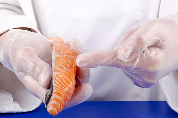 포토 JPG 해외이미지 백인 직업 옷 여자 분홍색 유니폼 건강 어류 요리 사람 사람없음 주방 식당 요리사 추위 흰색 신선 업무 해산물 직원 연어 보여주기 해외202004 해외포토 서양인 컬러 모션 상점 수중동물 작업 파일형식 이미지허브