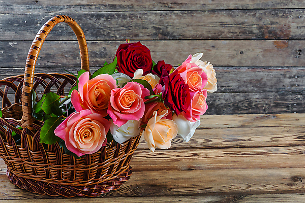 포토 JPG 해외이미지 디자인 꽃잎 꽃 분홍색 꽃다발 결혼 백그라운드 컨셉 잎 꽃무늬 자연 벽지 탁자 휴가 기념 아이디어 발렌타인데이 선물 사랑 사람없음 목재 빨간색 장미 바구니 봄 수확 벚꽃 흰색 시골 신선 오픈 질감 아로마 부드러움 엮은 옛날 해외202004 해외포토 나무 식물 계절 감정 컬러 가구 무늬 농업 재료 데이이벤트 이벤트 감각 생태계 파일형식 이미지허브