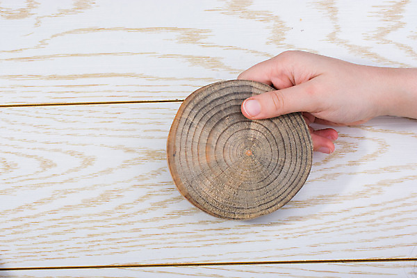 포토 JPG 해외이미지 나무 조각 백그라운드 패턴 자연 추상 사람없음 목재 갈색 쌓기 환경 반지 소나무 원형 주식 숲 장작 자르기 유기농 질감 통나무 나무껍질 잡동사니 내추럴 벌목 수목 옛날 핵심 해외202004 해외포토 도형 식물 웰빙 컬러 무늬 재료 장신구 모션 금융 껍질 생태계 파일형식 이미지허브