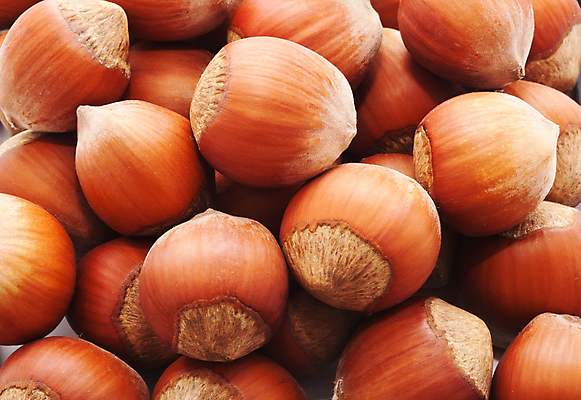 포토 JPG 해외이미지 실내 사람없음 갈색 견과류 가득함 헤이즐넛 해외202004 해외포토 컬러 내부 파일형식 이미지허브