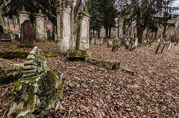 포토 JPG 해외이미지 꽃 기독교 종교 지구 백그라운드 십자가 부활절 사람없음 목재 조각상 검은색 성경 바위 기도 죽음 예수 영혼 목사 심볼 애도 신성 땅파기 신앙심 옛날 장례식 오싹 해외202004 해외포토 나무 식물 기념일 컬러 재료 종교용품 조형물 신_종교 성직자 파일형식 이미지허브