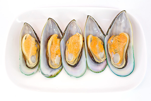 포토 JPG 해외이미지 어류 사람없음 주방 껍질 날것 홍합 S 내추럴 수유 해외202004 해외포토 알파벳 어패류 수중동물 파일형식 이미지허브