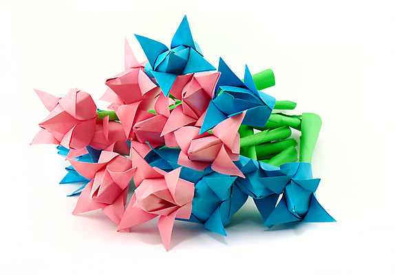 포토 JPG 해외이미지 식물 꽃 종이 길 창조 사람없음 빨간색 세로 초록색 상자 노란색 봄 튤립 흰색 자르기 오브젝트 싱글 종이접기 고립 해외202004 해외포토 계절 컬러 모션 접기 파일형식 이미지허브