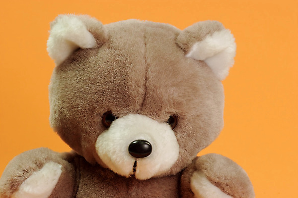 포토 JPG 해외이미지 동물 야생동물 장난 곰 포유류 포옹 놀이 휴식 털 사람없음 장난감 우정 기쁨 솜털 폭식 해외202004 해외포토 감정 컨셉 안기 친구 파일형식 이미지허브