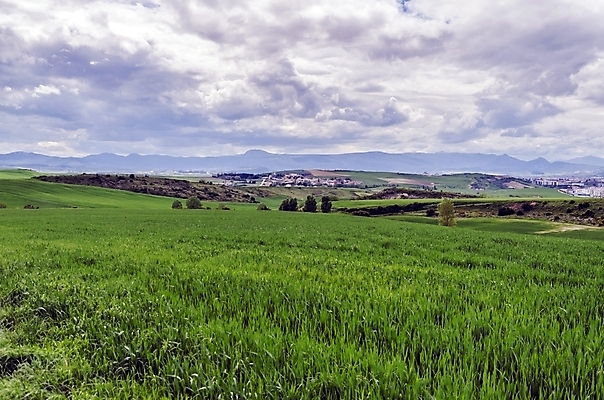 포토 JPG 해외이미지 구름 유럽 백그라운드 밭 농업 자연 하늘 날씨 산 풍경 사람없음 야외 초록색 컬러풀 농장 마을 환경 계곡 어둠 흰색 스페인 해외202004 해외포토 자연요소 나라 산업 컬러 생태계 파일형식 이미지허브