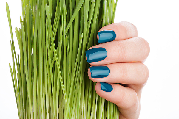 포토 JPG 해외이미지 손 꽃 캠페인 크리스마스 손가락 휴가 새로움 사람없음 초록색 파란색 빛 컬러풀 장난감 유행 페인트 화장품 덮개 축하 못 손톱관리 손톱 연도 광택 개선 니스 돌봄 아크릴 해외202004 해외포토 식물 기념일 컬러 컨셉 모션 재질 신체부위 뷰티 뚜껑 공구 네일아트 파일형식 이미지허브