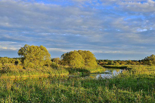 포토 JPG 해외이미지 나무 식물 구름 호수 야생동물 백그라운드 잎 오렌지 자연 하늘 풍경 사람없음 야외 초록색 물 여름 파란색 강 컬러풀 태양 반사 노란색 평화 환경 맑음 침묵 일몰 봄 활발 젖음 가을 시골 연못 소나무 황무지 숲 러시아 장면 자작나무 해외202004 해외포토 자연요소 동물 계절 유럽 컬러 컨셉 과일 날씨 노을 소리 생태계 파일형식 이미지허브