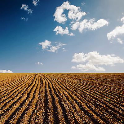 포토 JPG 해외이미지 구름 계절 산업 지구 백그라운드 패턴 밭 농업 자연 하늘 풍경 사람없음 야외 파란색 빛 농작물 햇빛 농장 농경지 갈색 환경 경작 검은색 일몰 흙 봄 줄무늬 성장 가을 시골 땅 만취 유기농 먼지 장면 내추럴 땅바닥 밭일 쟁기 줄서기 수평선 세련 해외202004 해외포토 자연요소 웰빙 컬러 무늬 모션 바닥 태양 노을 농사 생태계 술취함 파일형식 이미지허브