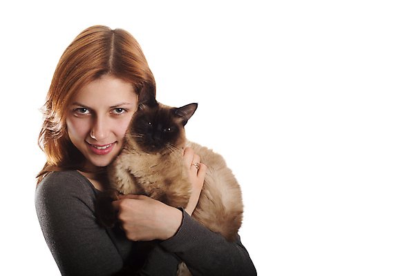 포토 JPG 해외이미지 동물 척추동물 여자 포유류 털 한명 반려동물 고양이 우정 집중 만족 솜털 해외202004 해외포토 1 감정 컨셉 사람 친구 파일형식 이미지허브