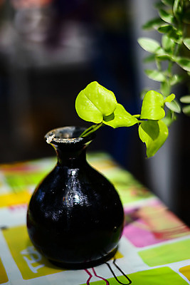 포토 JPG 해외이미지 계절 꽃잎 분홍색 꽃다발 컨셉 잎 과일 미술 사람없음 장식 여름 빛 컬러풀 꽃병 기쁨 수확 골동품 투명 복고 잔치 향기 아로마 구성 정물화 특별함 스타일 해외202004 해외포토 식물 꽃 감정 컬러 농업 문화예술 그림 냄새 파일형식 이미지허브