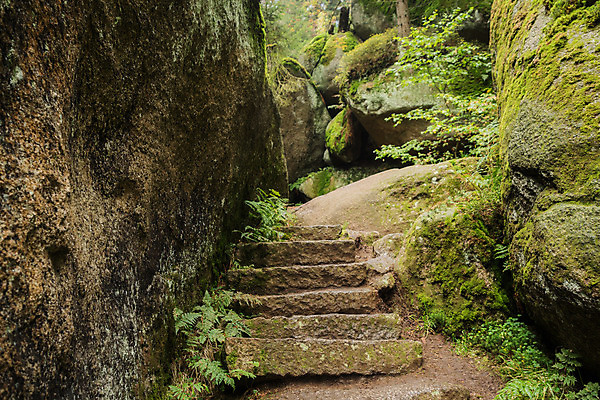 포토 JPG 해외이미지 나무 식물 공원 유럽 길 여행 자연 산 국립공원 이끼 풍경 사람없음 야외 초록색 평화 침묵 하이킹 가을 바위 소나무 황무지 분위기 숲 오솔길 9월 언덕 장면 마법 미로 거인 삼림지대 옛날 전국 화강암 해외202004 해외포토 계절 공공시설 나라 컬러 컨셉 레저 소리 암석 돌_바위 날짜 생태계 파일형식 이미지허브