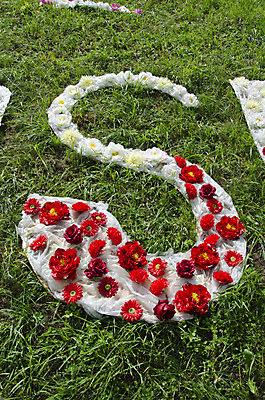 포토 JPG 해외이미지 식물 디자인 알파벳 공원 꽃 분홍색 컨셉 텍스트 휴가 아이디어 사람없음 야외 정원 축하 직물 큼 편지 꽃집 심볼 사인 S 해외202004 해외포토 영어 공공시설 컬러 상점 크기 파일형식 이미지허브