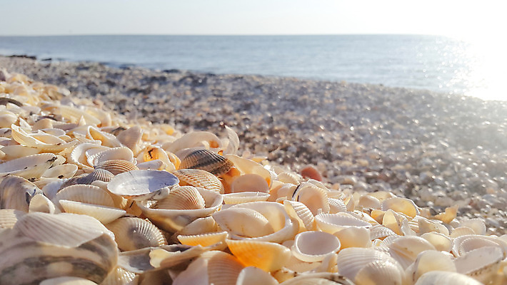 포토 JPG 해외이미지 디자인 바다 여행 백그라운드 컨셉 자연 휴가 휴식 따뜻함 풍경 사람없음 물 여름 빛 컬러풀 햇빛 쌓기 껍질 다발 장면 부드러움 내추럴 많음 수평선 해외202004 해외포토 자연요소 계절 컬러 모션 태양 감각 생태계 파일형식 이미지허브