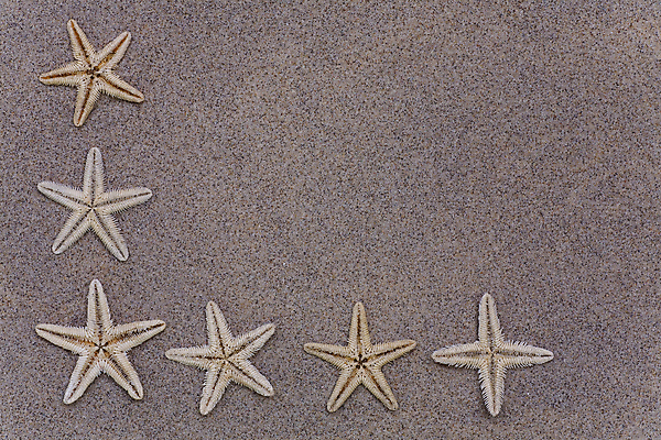 포토 JPG 해외이미지 동물 디자인 별 모래 바다 여행 백그라운드 컨셉 텍스트 자연 휴가 열대 불가사리 프레임 사람없음 가로 노란색 우주 흰색 메시지 심볼 묘사 오브젝트 휴양지 질감 내추럴 엘리먼트 이국적 카피스페이스 해외202004 해외포토 자연요소 컬러 극피동물 공백 장소 생태계 파일형식 이미지허브