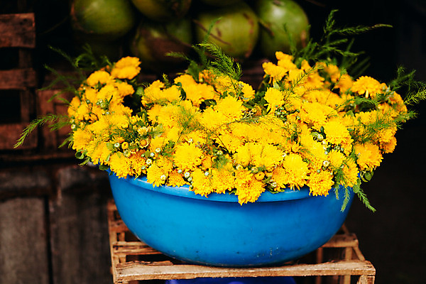 포토 JPG 해외이미지 식물 전통 계절 꽃 꽃무늬 패턴 비즈니스 자연 국화 동양인 사람없음 초록색 노란색 신선 시장 꽃집 데이지 베트남 내추럴 해외202004 해외포토 컬러 무늬 인종 상점 동남아시아 생태계 파일형식 이미지허브