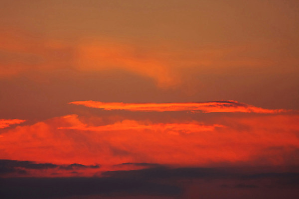 포토 JPG 해외이미지 구름 계절 백그라운드 오렌지 자연 하늘 바람 날씨 풍경 사람없음 야외 가로 빨간색 여름 빛 햇빛 우주 환경 보라색 침묵 일몰 활발 회색 자유 저녁 제비꽃 장면 폭풍 솜털 흐림 해외202004 해외포토 자연요소 꽃 컬러 컨셉 과일 태양 노을 소리 야간 생태계 파일형식 이미지허브