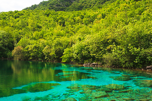 포토 JPG 해외이미지 나무 라이프스타일 공원 유럽 호수 자연 하늘 산 파노라마 풍경 사람없음 야외 물 여름 파란색 반사 이탈리아 시골 신선 숲 고도 알프스 지역 내추럴 보호구역 전국 해외202004 해외포토 자연요소 식물 계절 공공시설 나라 컬러 촬영기법 생활 생태계 구역 파일형식 이미지허브
