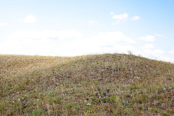 포토 JPG 해외이미지 구름 꽃 유럽 자연 하늘 풍경 사람없음 야외 가로 초록색 여름 파란색 노란색 회색 흰색 언덕 러시아 스텝 해외202004 해외포토 자연요소 식물 계절 나라 컬러 생태계 파일형식 이미지허브