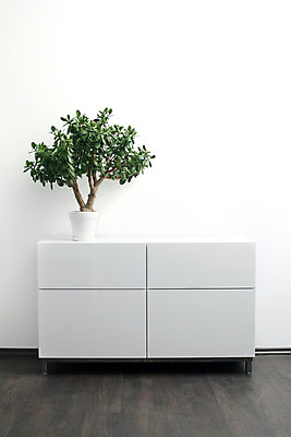 포토 JPG 해외이미지 디자인 꽃 벽 가구 탁자 책장 선반 바닥 아파트 주택 실내 사람없음 내부 목재 장식 초록색 빛 갈색 공백 흰색 우아함 오브젝트 심플 리빙 궤 설치 신발장 합판 스타일 해외202004 해외포토 나무 식물 컬러 생활용품 컨셉 재료 건물 파일형식 이미지허브