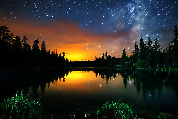 포토 JPG 해외이미지 나무 실루엣 별 여행 백그라운드 크리스마스 겨울 자연 하늘 산 풍경 사람없음 야외 파란색 빛 우주 냉동 검은색 소리 망원경 추위 소나무 야간 숲 코스모스 은하계 점성술 천문학 전나무 스카이라인 무한 방법 현상 눈내림 가문비나무 해외202004 해외포토 자연요소 식물 계절 교육 기념일 꽃 컬러 눈_날씨 촬영기법 생태계 파일형식 이미지허브