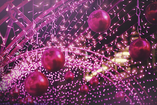 포토 JPG 해외이미지 디자인 분홍색 백그라운드 크리스마스 오렌지 공 추상 휴가 전등 사람없음 빨간색 초록색 파란색 빛 노란색 도시 원형 야간 소프트포커스 보케 광 블러 유흥 효과 해외202004 해외포토 자연요소 도형 기념일 컬러 무늬 과일 조명 촬영기법 파일형식 이미지허브