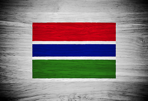 포토 JPG 해외이미지 아이콘 디자인 벽 백그라운드 패턴 자연 벽지 표면 바닥 프레임 사람없음 목재 장식 빨간색 초록색 파란색 수확 흰색 깃발 판넬 거친 널 심볼 묘사 사인 그림 질감 복고 애국심 내추럴 그런지 옛날 전국 효과 해외202004 해외포토 나무 컬러 무늬 농업 재료 생태계 파일형식 이미지허브