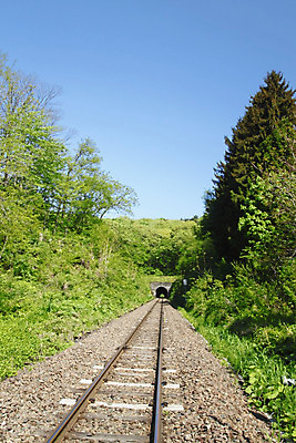 포토 JPG 해외이미지 나무 계절 여행 자연 하늘 사람없음 초록색 파란색 봄 기차 신선 트랙 선로 철강 해외202004 해외포토 식물 육상교통 컬러 대중교통 생태계 파일형식 이미지허브